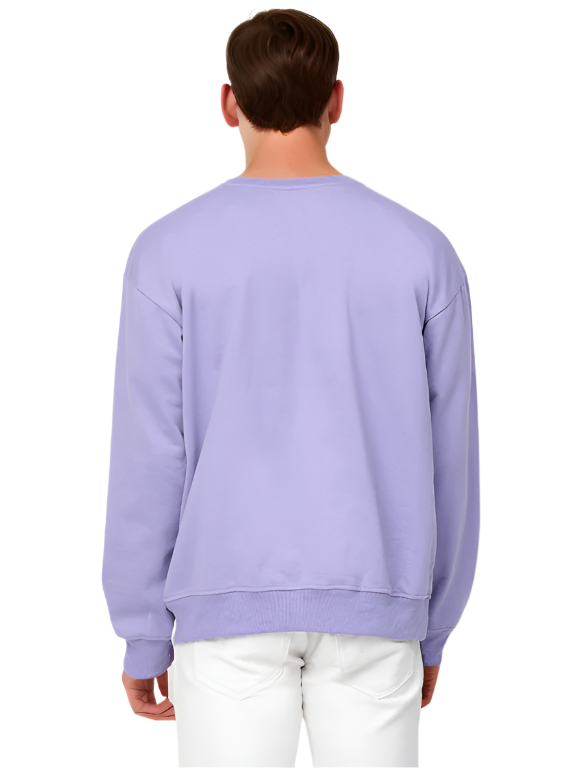 Hemsters  Lavender Knitted Full Sleevs Sweatshirt For Men